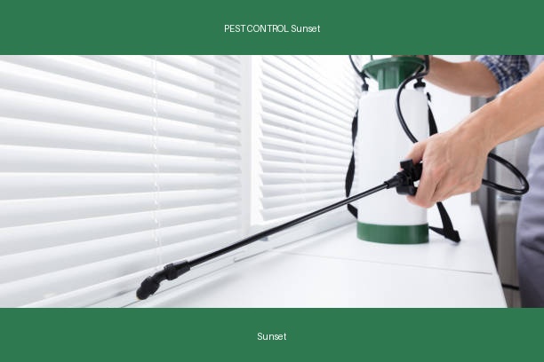 PEST CONTROL Sunset